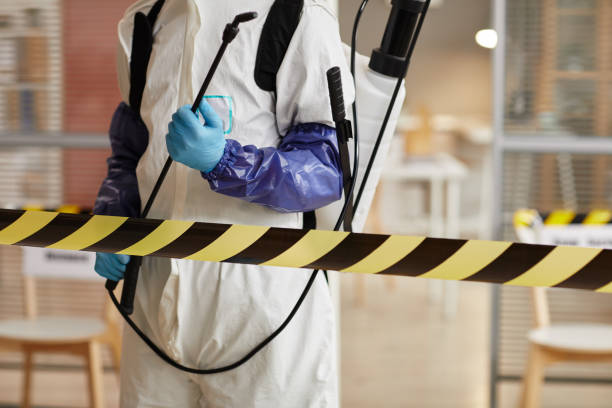 Professional Biohazard technician working in Avery, CA
